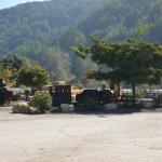 Cambria_2015_0132 (November 07, 2015)